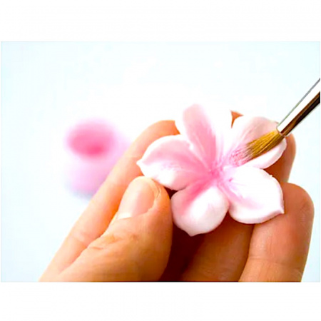 Пищевой краситель цветочная пыльца Коричневая 5 гр.